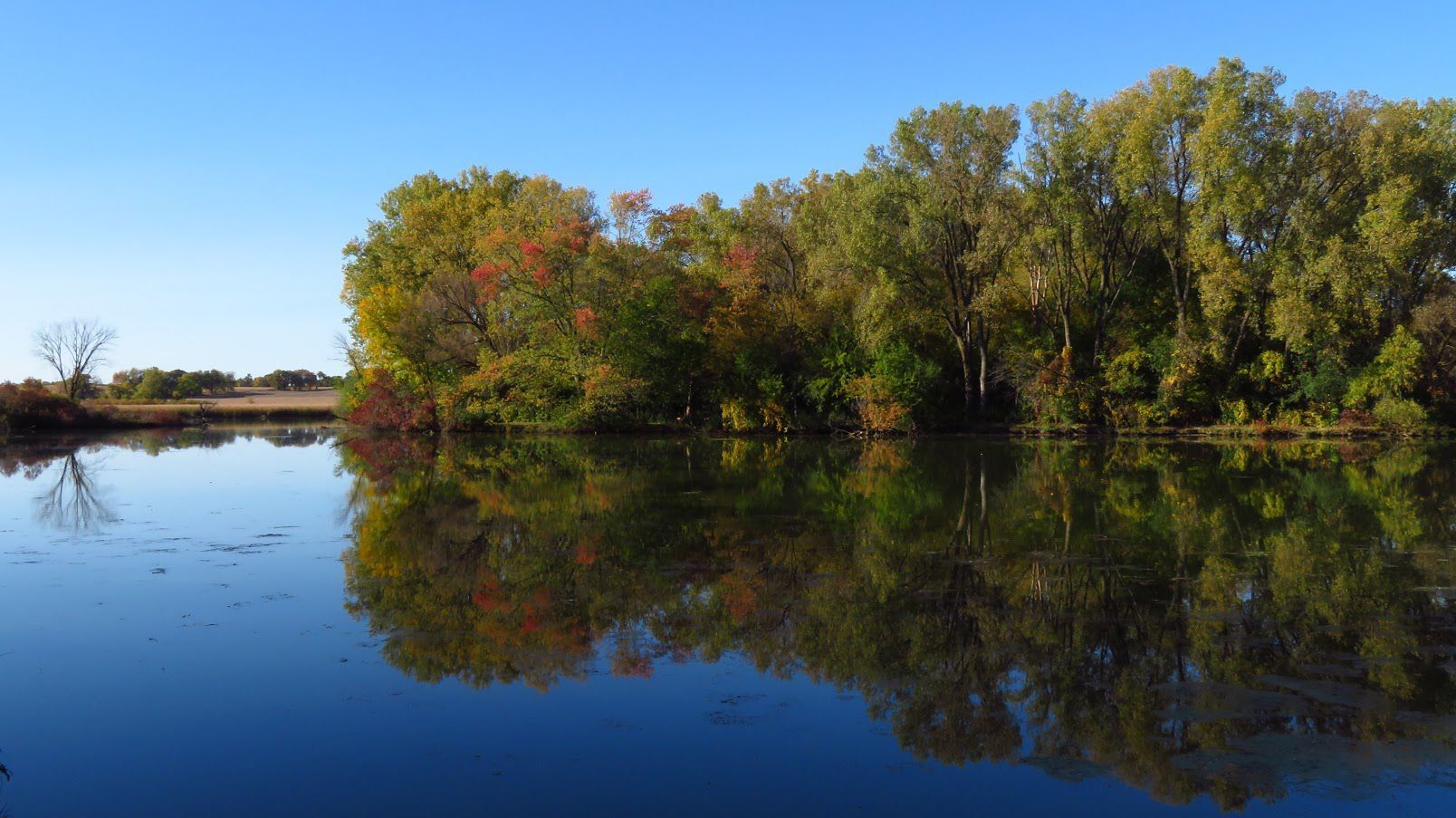 Viking County Park